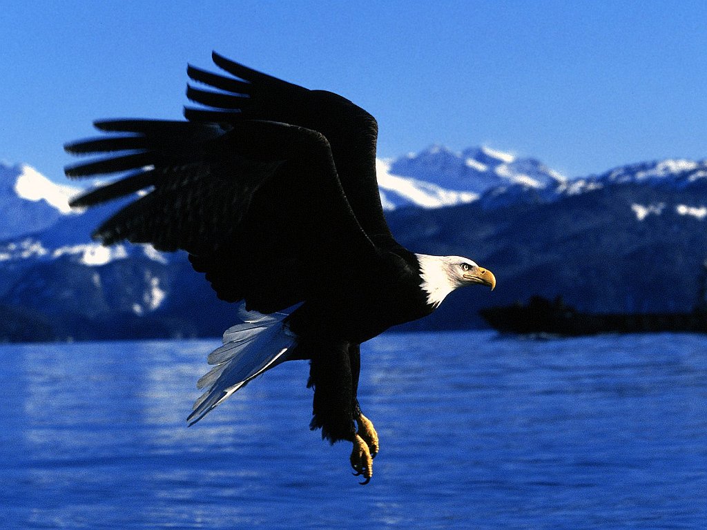 Easy Landing, Alaska